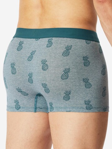 SCHIESSER Boxershorts '95/5 Organic Cotton' in Blauw