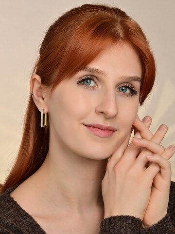 Akzent Earrings 'Peggy, langlebig' in Mixed colors: front
