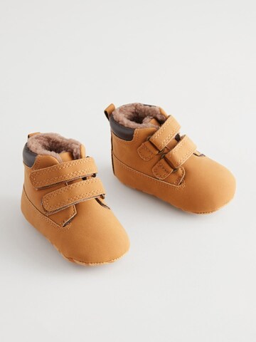 Next Newborn in Bruin