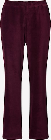 Ulla Popken Regular Housut värissä lila: etupuoli