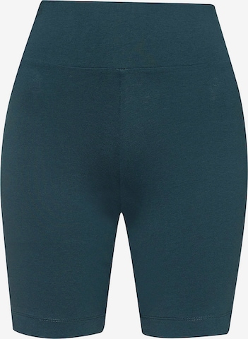 GREENBOMB Regular Shorts 'Basic' in Grün: Vorderseite