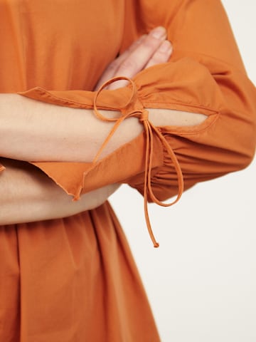 Robe 'Carly' Aligne en marron