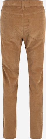 HOLLISTER Regular Trousers in Brown