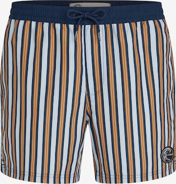 mėlyna O'NEILL Maudymosi kelnaitės: priekis