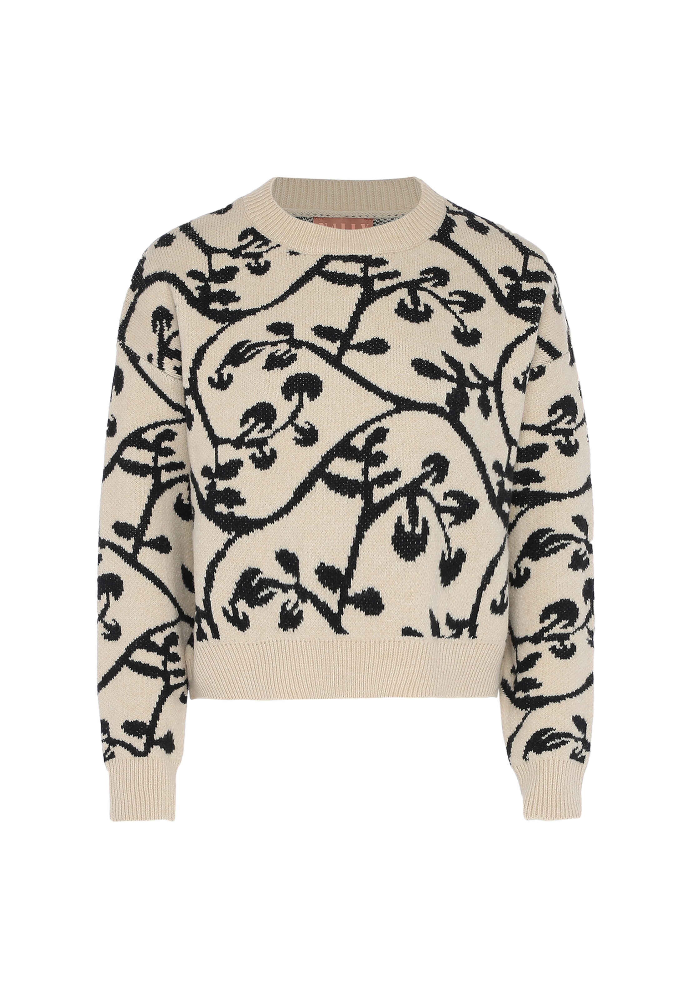 NALLY Pullover in Beige: Vorderseite