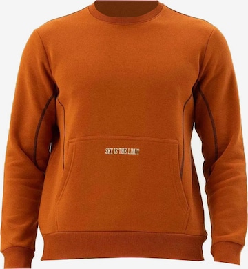 brūns Arma Sportisks džemperis: no priekšpuses