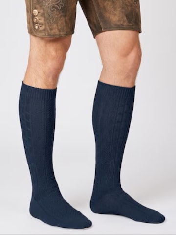 celodoro Knee High Socks 'Tradition' in Blue: front