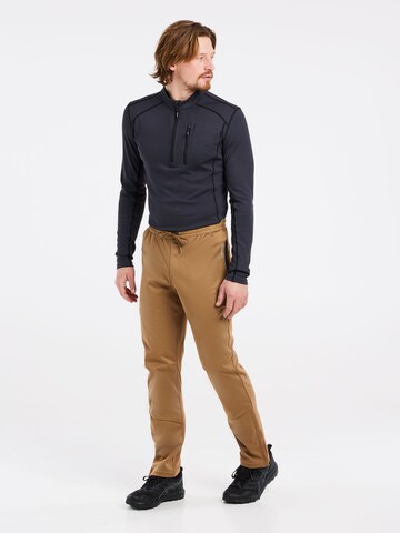 PROTEST Regular Hose 'PRTMACKAYE' in Braun