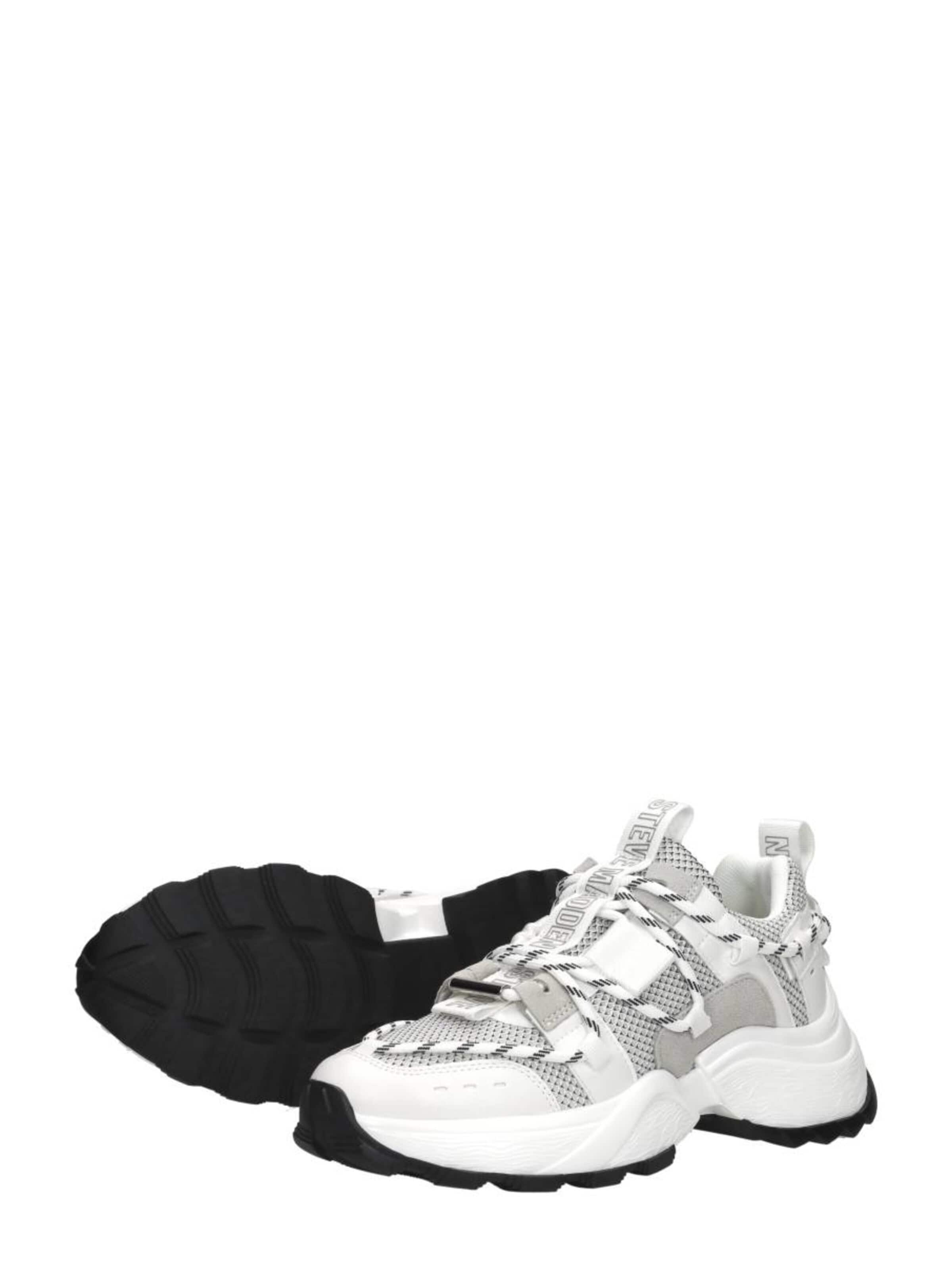 STEVE MADDEN Sneakers 'Tazmania' in White