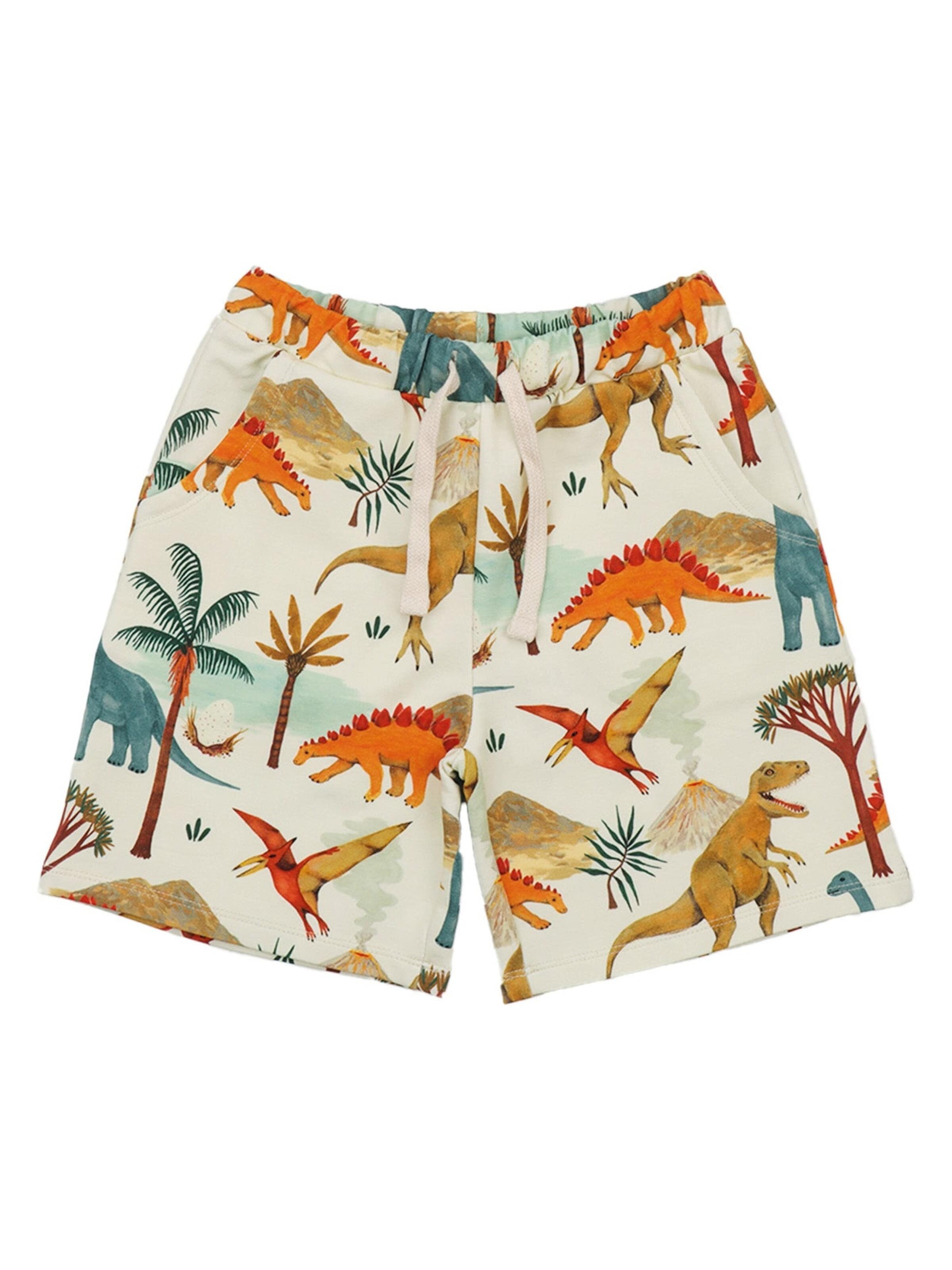Walkiddy Regular Hose 'Dinasaur World'‌‌‌‌‌‌‌‌‌ in Weiß: Vorderseite