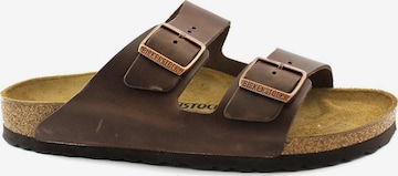 Mule 'ARIZONA BS 052533' BIRKENSTOCK en marron : devant