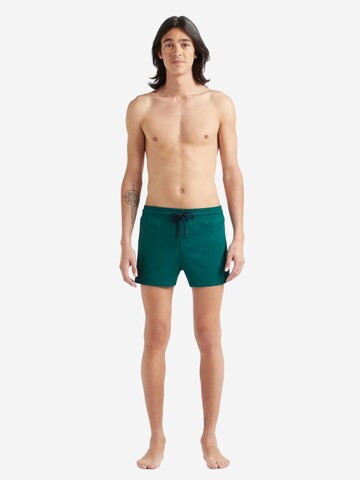 Vilebrequin - Bermudas en verde: frente