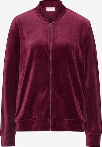 Hanro Zip-Up Hoodie ' Favourites ' in Red: front