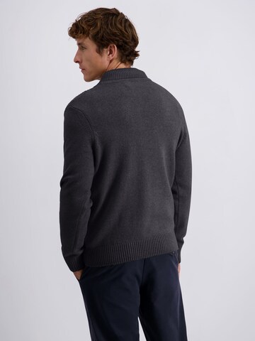 Pull-over PIERRE CARDIN en gris