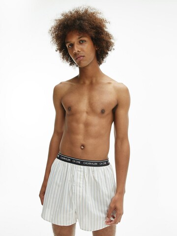 Calvin Klein Underwear Regular Boxershorts in Grijs