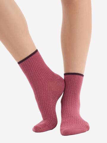 ETAM Socken 'Mindy' in Pink: Vorderseite