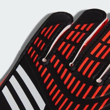 ADIDAS PERFORMANCE Sporthandschuhe 'Predator' in Schwarz