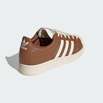 Baskets basses 'Superstar II' ADIDAS ORIGINALS en marron