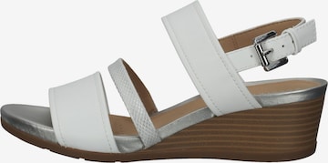 GEOX Sandalen met riem in Wit
