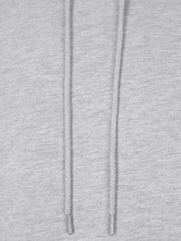 SEIDENSTICKER Sweatshirt 'Schwarze Rose' i grå