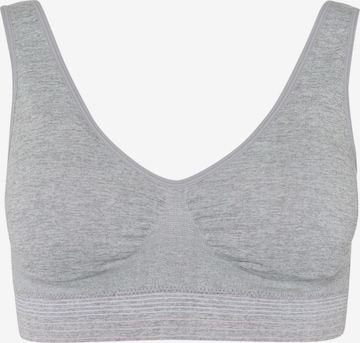 BeeDees Top 'Bustier Comfee Crop Top' in Grey: front