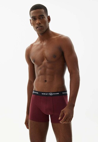 Boxer 'Oscar' di WESTMARK LONDON in blu