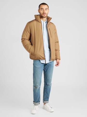 Veste mi-saison HOLLISTER en marron