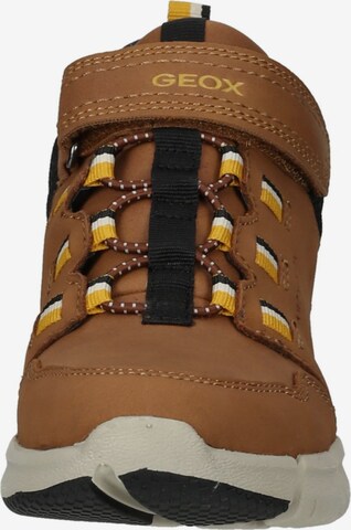 GEOX Boots 'Flexyper' in Brown