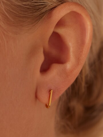 Boucles d'oreilles Lucardi en or : devant