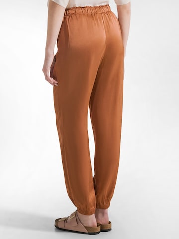 DEHA Regular Hose in Braun