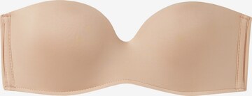 INTIMISSIMI Bandeau Bra in Beige: front