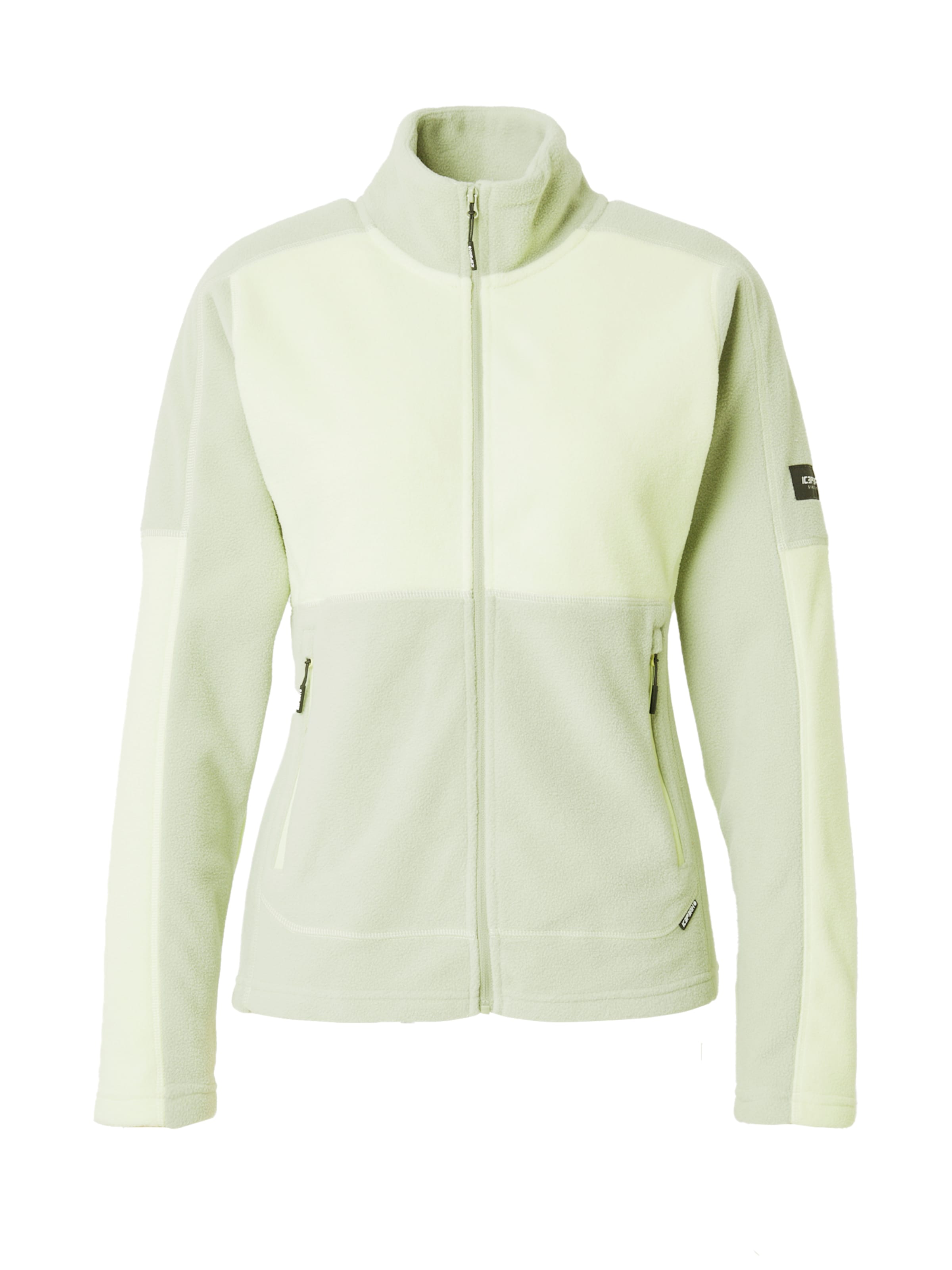 ICEPEAK - Chaqueta polar funcional 'CLEMONS' en verde: frente