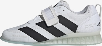 ADIDAS PERFORMANCE - Calzado deportivo en blanco: frente