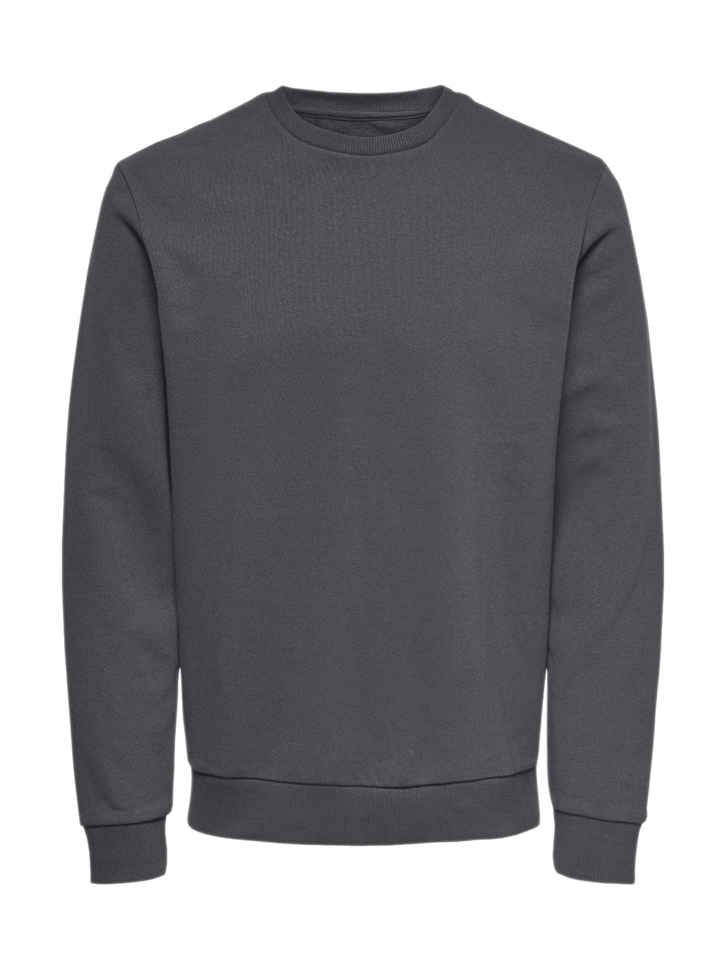 Only & Sons Sweatshirt 'Ceres' i grå: framsida