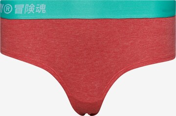 Superdry Panty in Orange: front