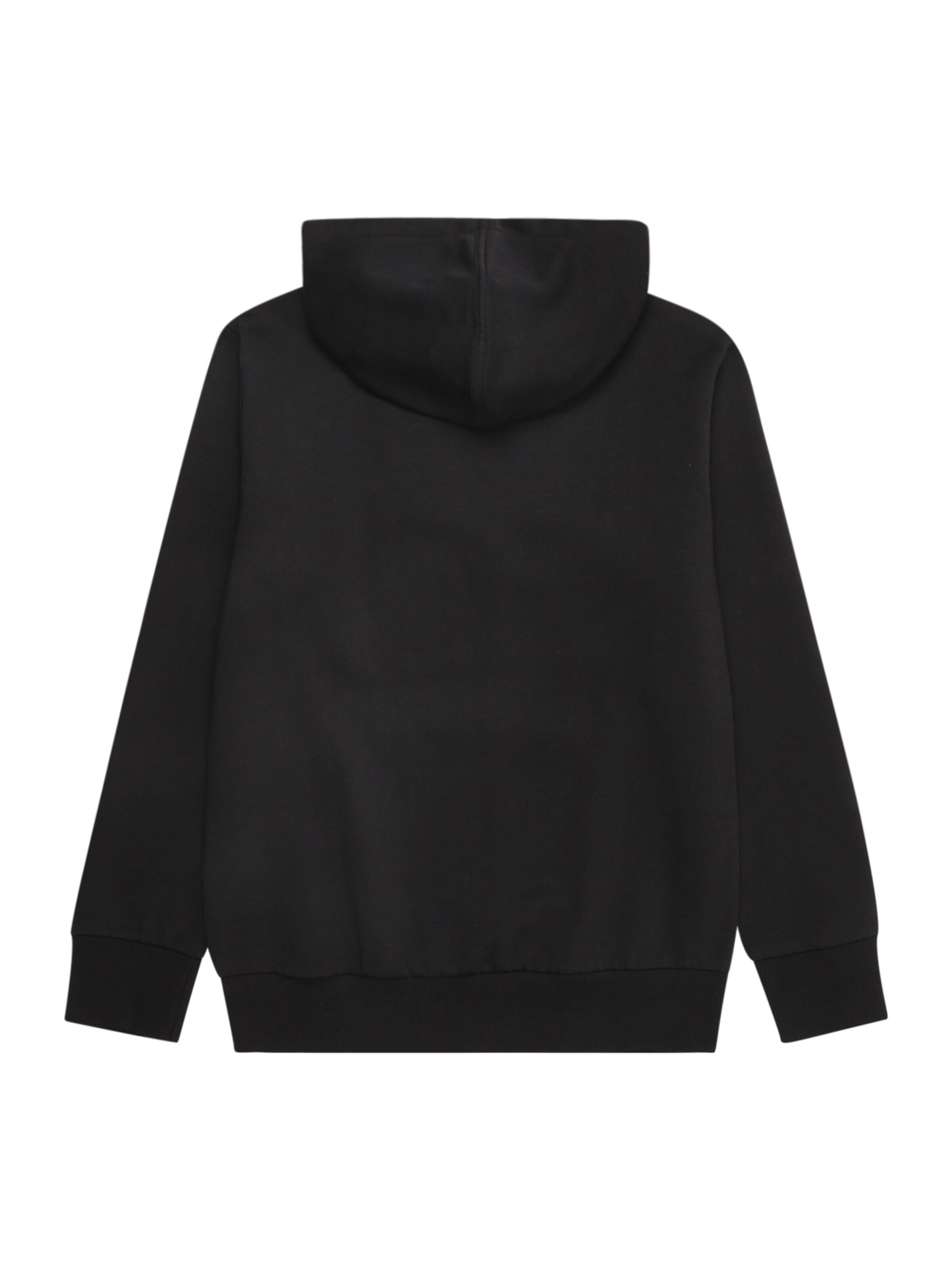 ADIDAS SPORTSWEAR Sport sweatshirt i svart