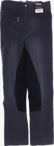 Pamela Henson Pants in XS in Grey: front