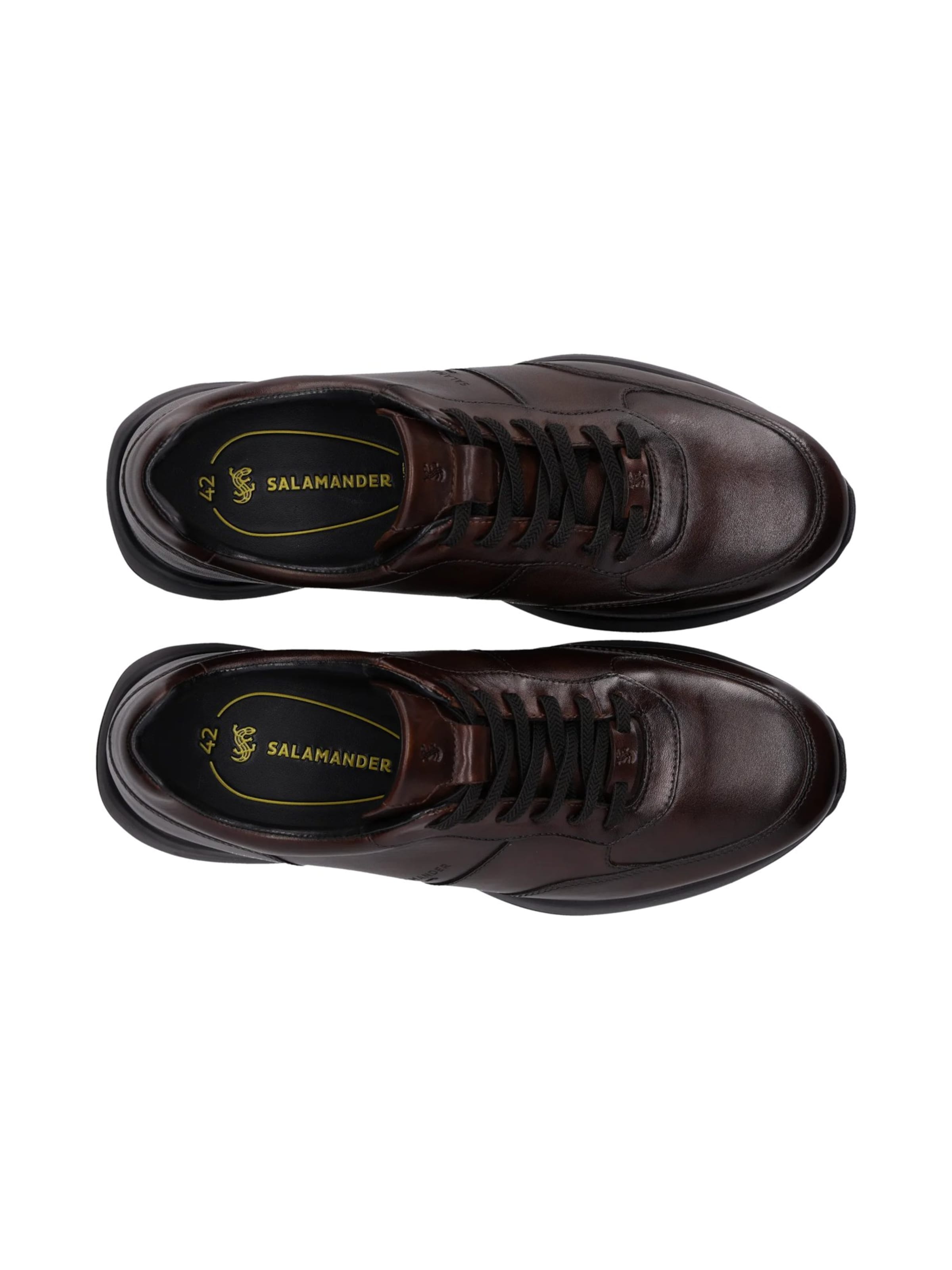 SALAMANDER - Zapatillas deportivas bajas en marrón