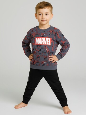 Spider-Man Sweatshirt in Grey: front