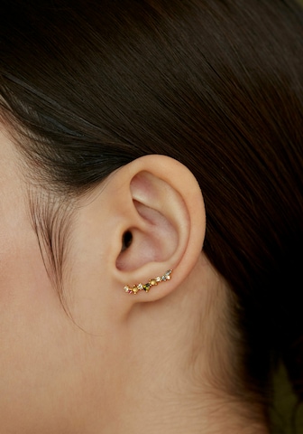 P D PAOLA Earrings 'Euphoria' in Gold