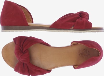 Apple of Eden Sandals & High-Heeled Sandals in 40 in Red: front