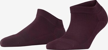 FALKE Füßlinge 'ClimaWool' in Rot: Vorderseite