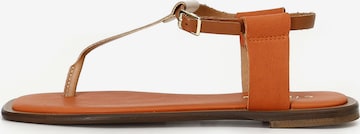 CAFè NOIR Flip Flops in Mischfarben: Vorderseite