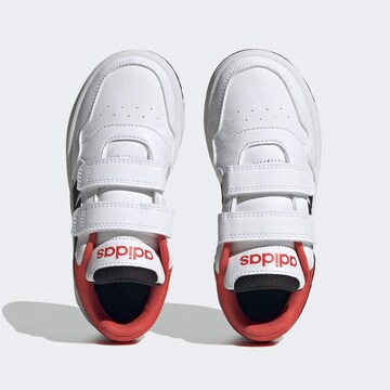 Baskets 'Hoops' ADIDAS SPORTSWEAR en blanc