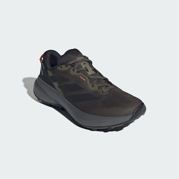 ADIDAS TERREX Lage schoen 'Tracefinder Plus' in Groen