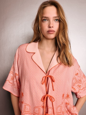 Shorty Rockett St George en rose