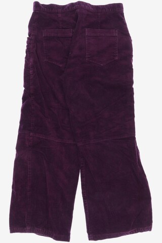 Maas Pants in L in Purple