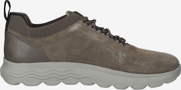 Sneaker bassa di GEOX in grigio