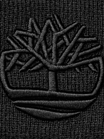 TIMBERLAND Kape | črna barva