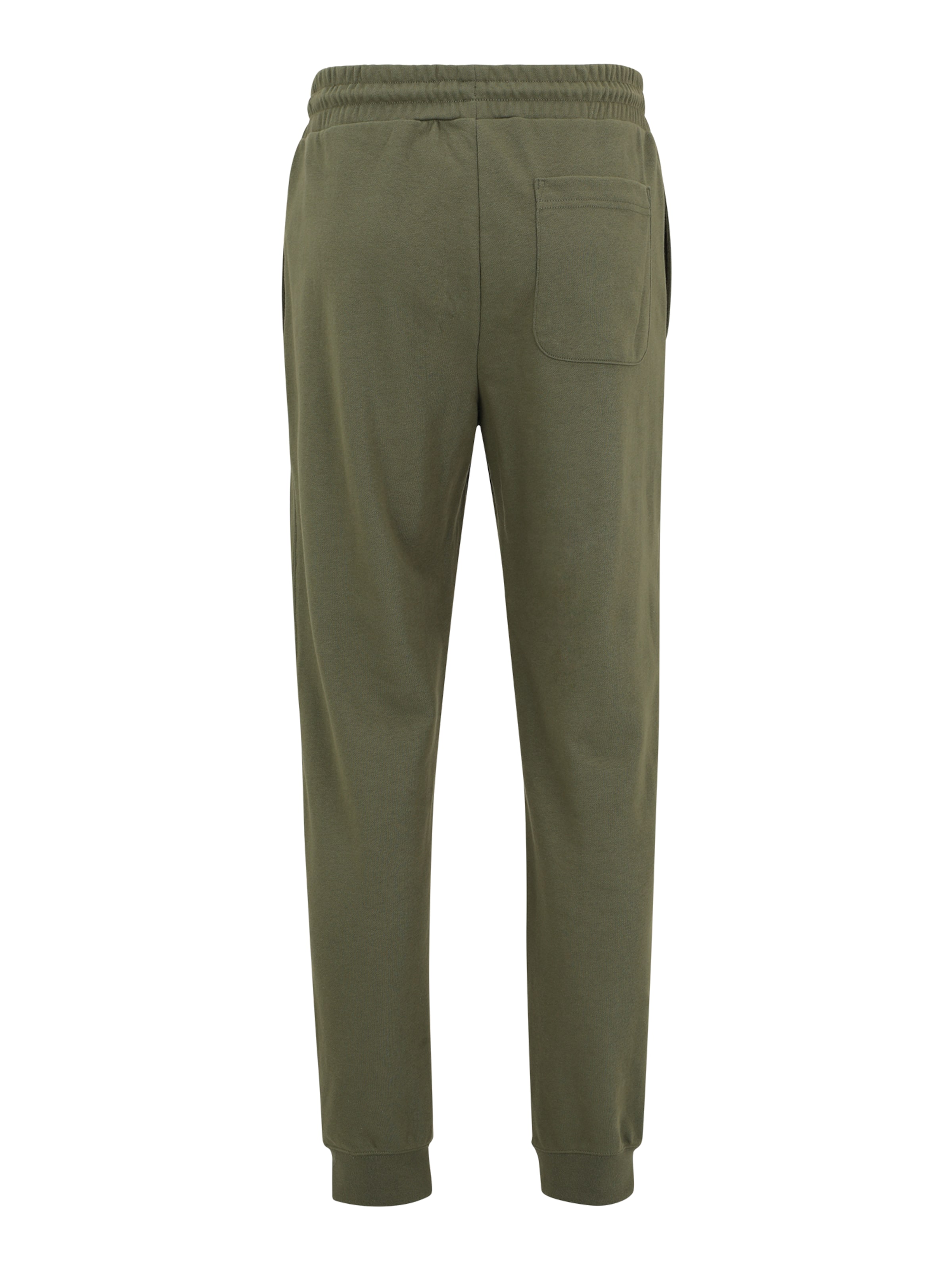 CONVERSE Конический (Tapered) Штаны в Зеленый